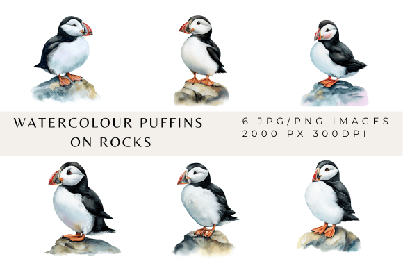 Charming Watercolour Puffin Images for Creative Projects